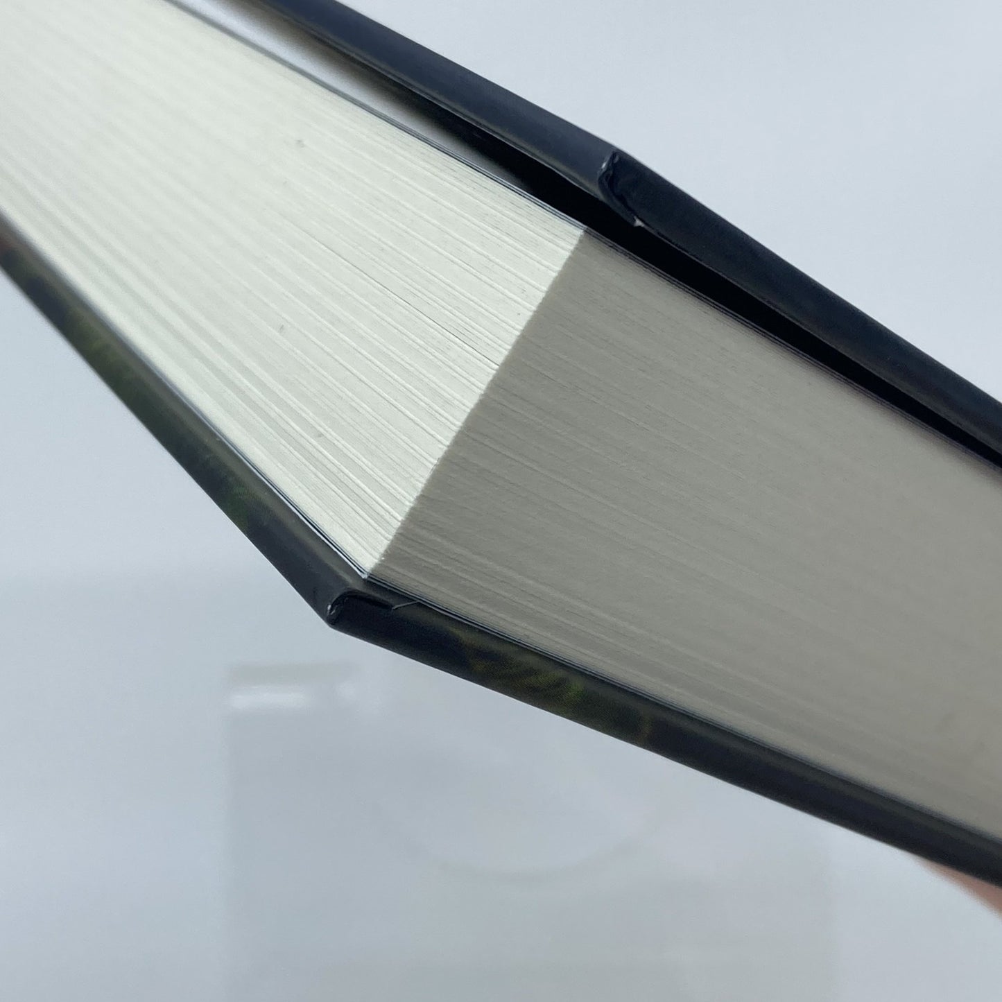 61eb56f5-82b2-48fb-96f6-e39ee4b66caa