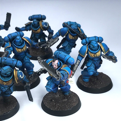 Primaris Assault Intercessors Space Marine - Painted - Warhammer 40K C3270