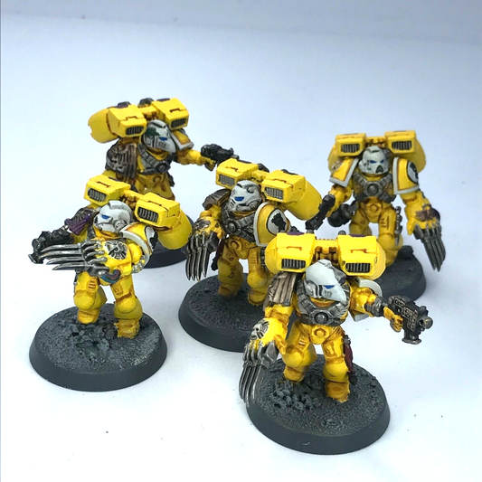 Imperial Fists Assault Marines Space Marines - Painted - Warhammer 40K C3824