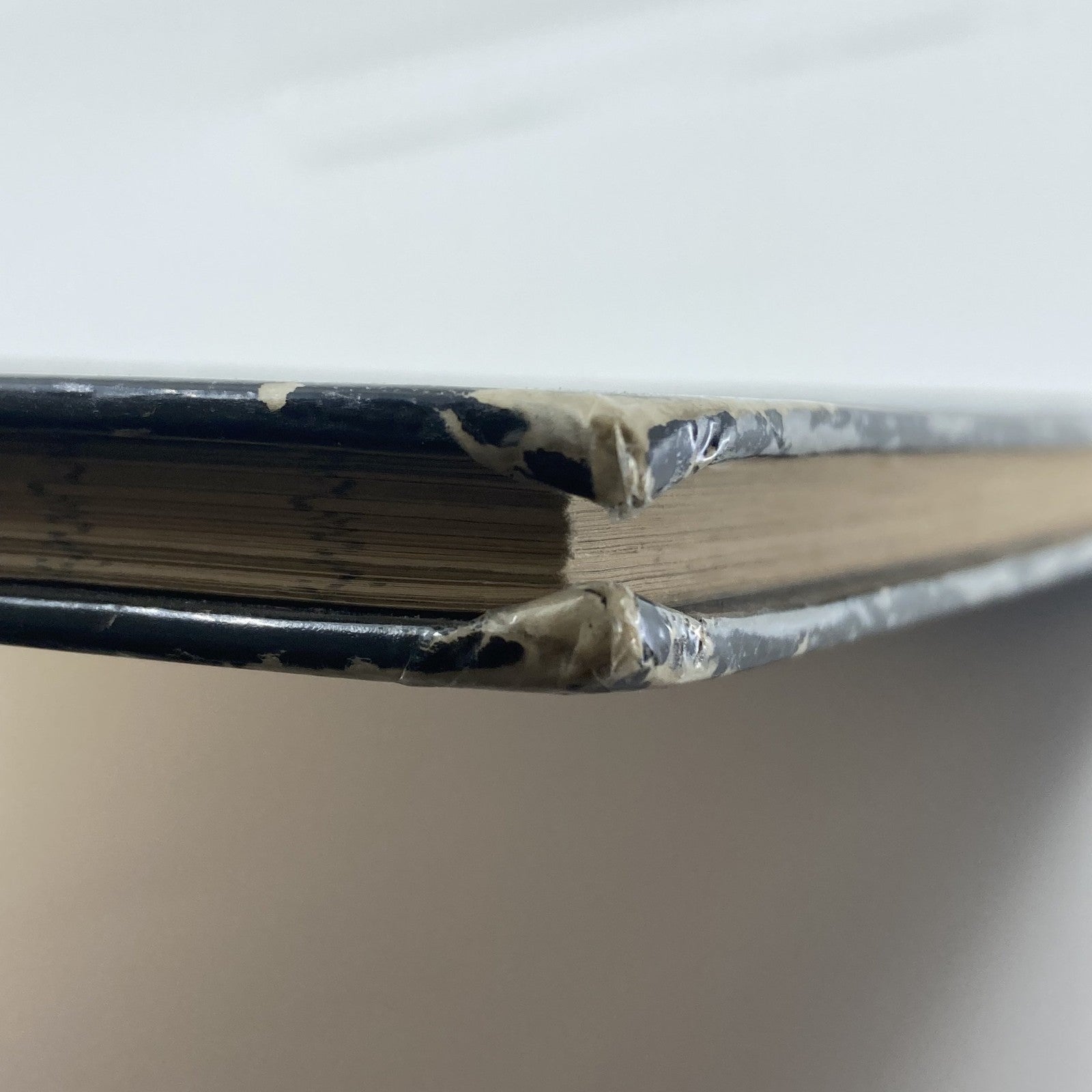 64cc6449-4825-45c1-b1a1-c9ea5e59e026