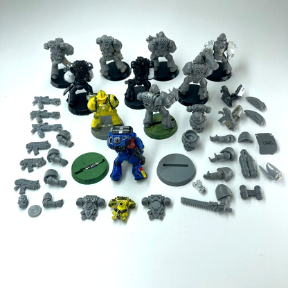 659927ff-738c-4ed7-b9b0-61adc97c98e0