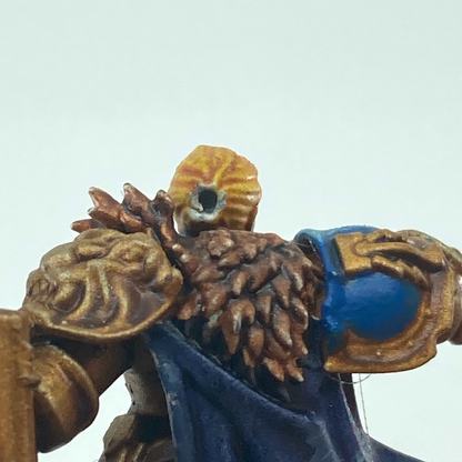 Leena Stormspire - Stormcast Eternals - Painted Warhammer Age of Sigmar X11826