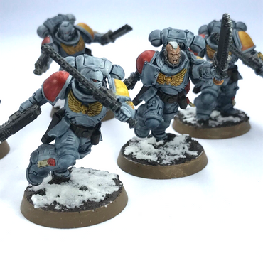 Assault Intercessors Space Wolves Space Marines - Painted - Warhammer 40K C3329