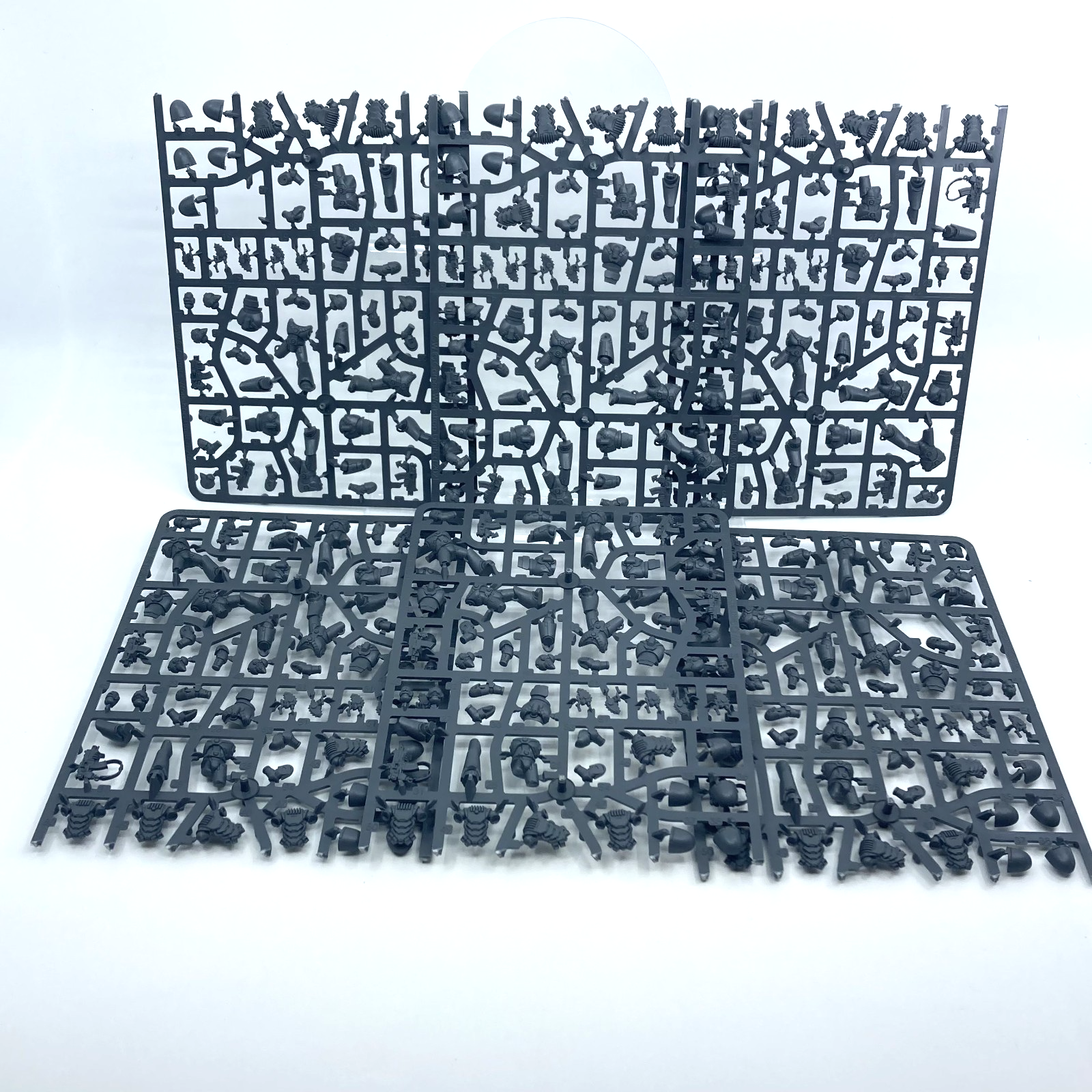 67ca66a0-448b-4ff4-8f30-8668f34fa02f