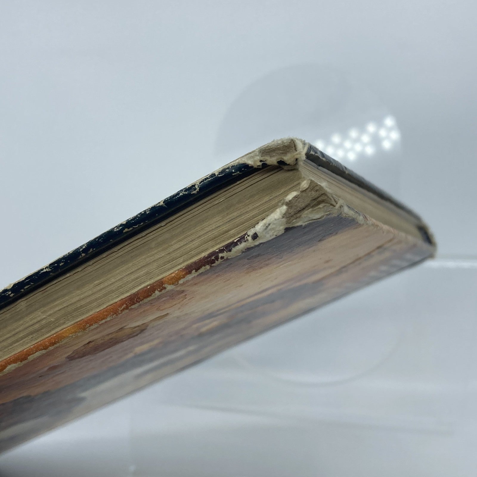 685b4134-a753-4a81-9214-d821b6ffbc9e