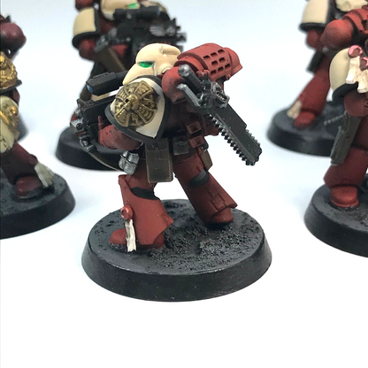 Space Marine Squad Painted - Warhammer 40K C2103