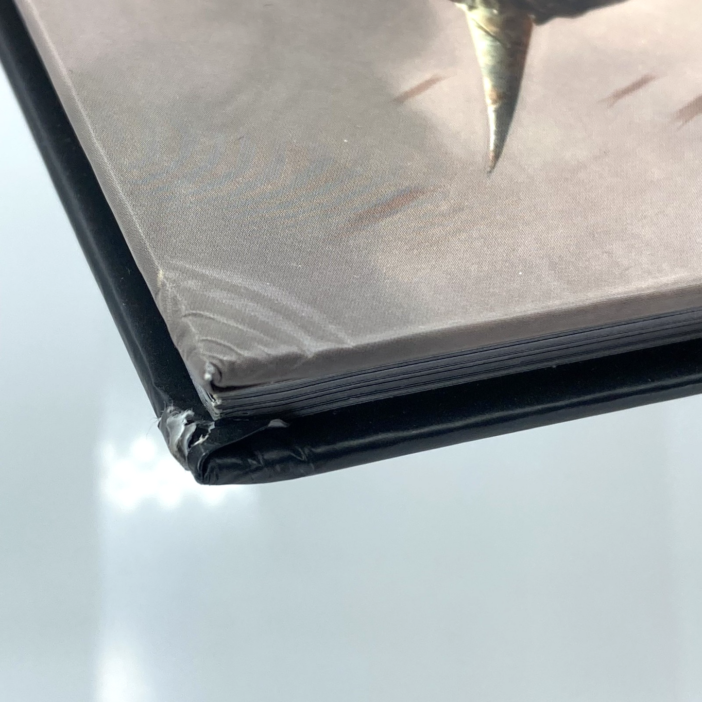 6bf89dd7-bafe-44ae-883e-2aeeb7bea1eb