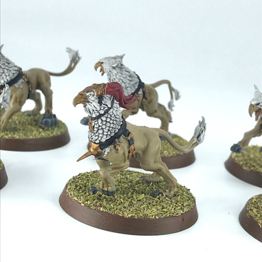 Gryph-hounds Stormcast Eternals Painted - Warhammer Age of Sigmar C1146