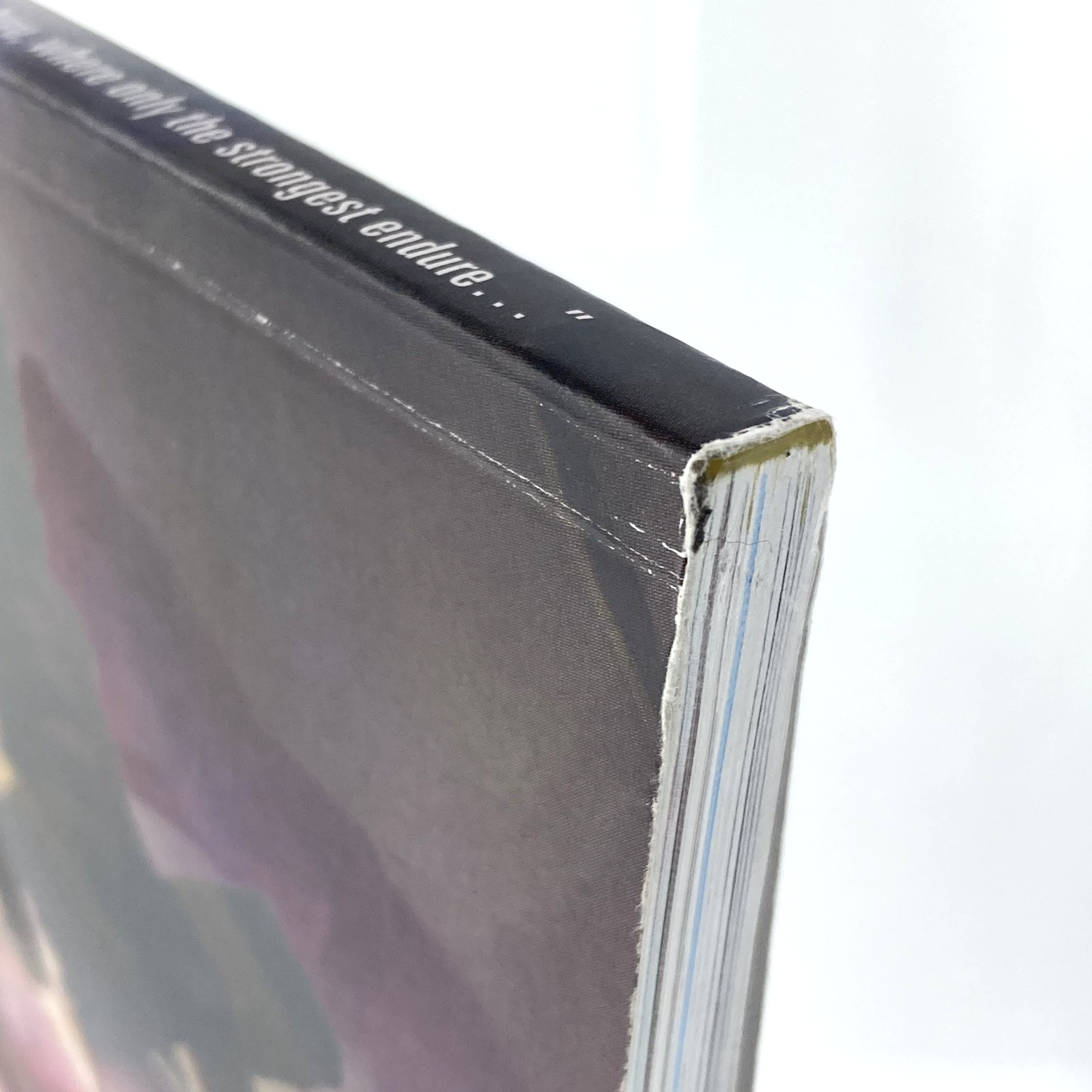 6d511cd1-8661-4c84-9b46-fce24a9f27e5