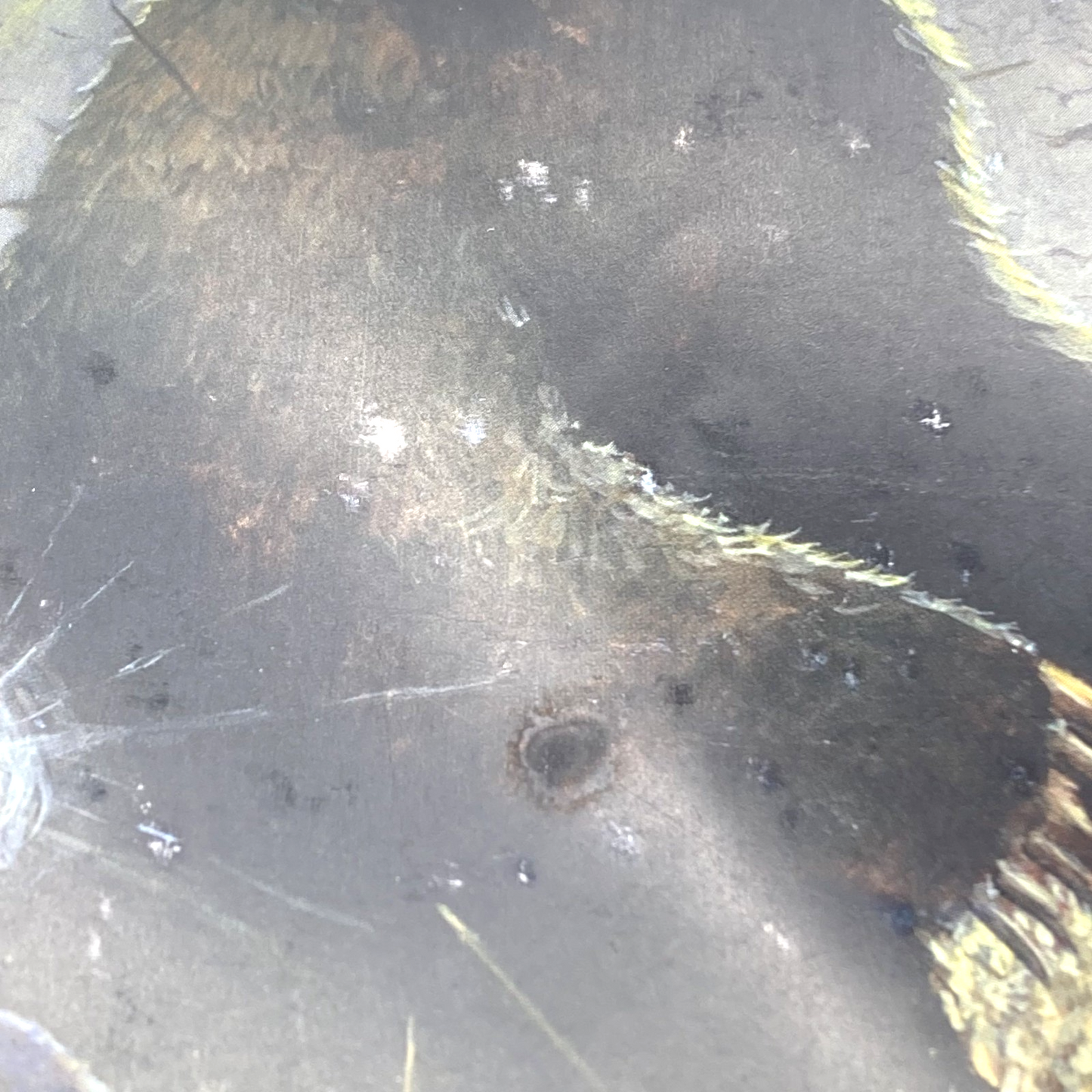 6db77a83-ba8d-44e2-83d9-95b17dfe2d36