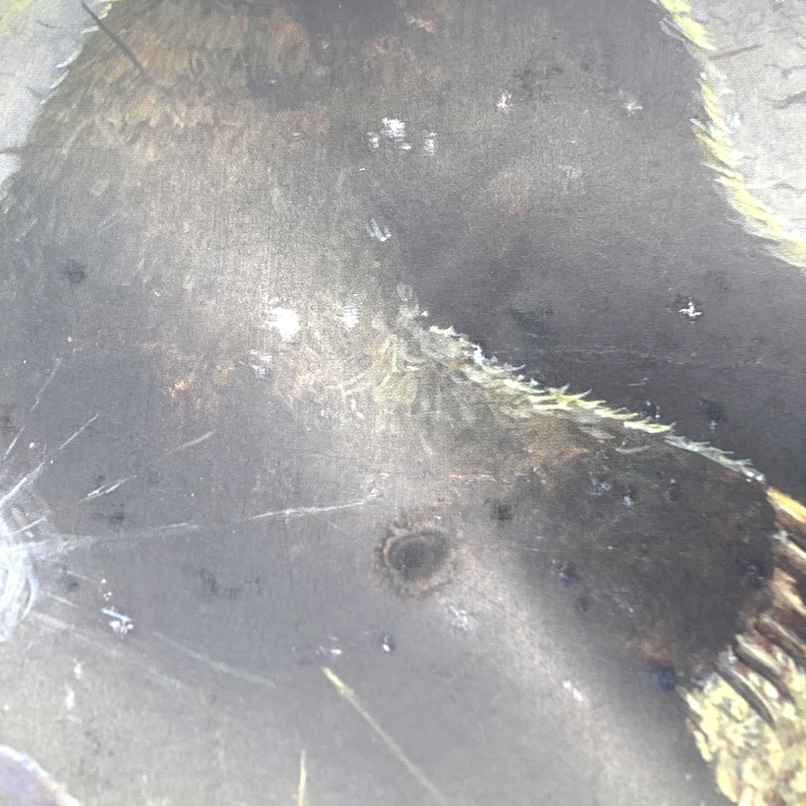 6db77a83-ba8d-44e2-83d9-95b17dfe2d36