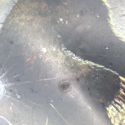 6db77a83-ba8d-44e2-83d9-95b17dfe2d36