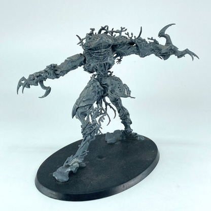 Drycha Hamadreth Sylvaneth - Warhammer Age of Sigmar Games Workshop 2