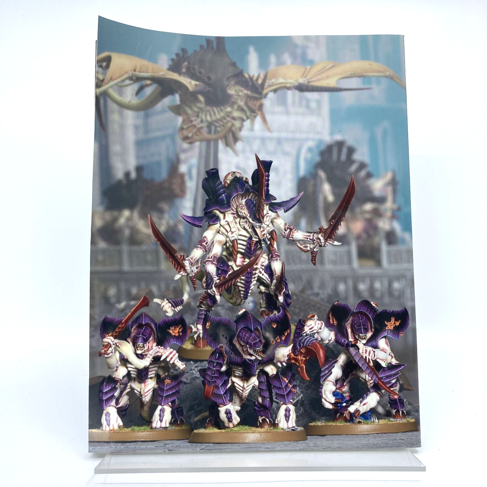 6e679765-e87a-4c3e-8262-7d35555ea5ea