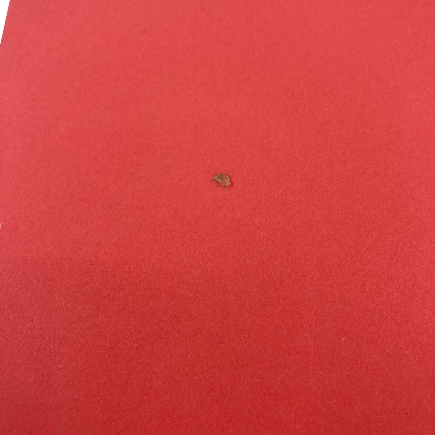 6f110832-149c-4ad3-91bd-45b0ffd82efc