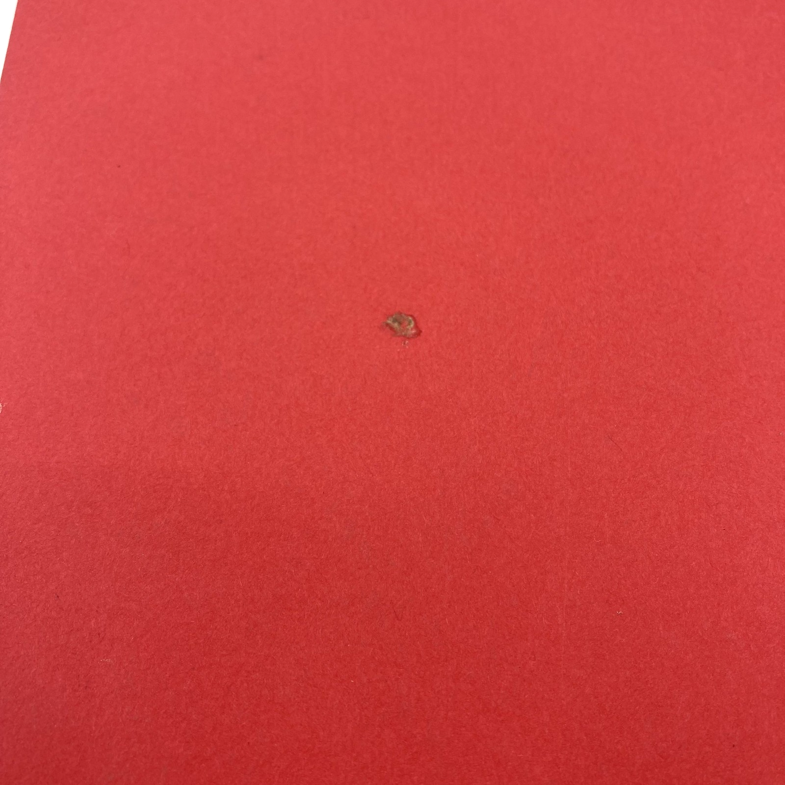 6f110832-149c-4ad3-91bd-45b0ffd82efc