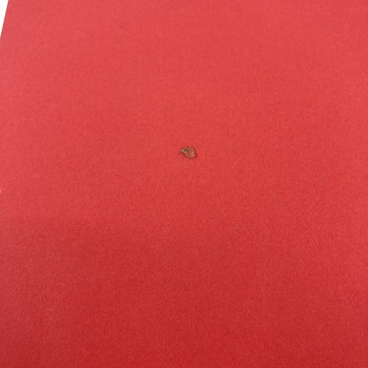 6f110832-149c-4ad3-91bd-45b0ffd82efc