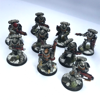 Primaris Intercessors Squad Space Marines - Painted - Warhammer 40K C3395