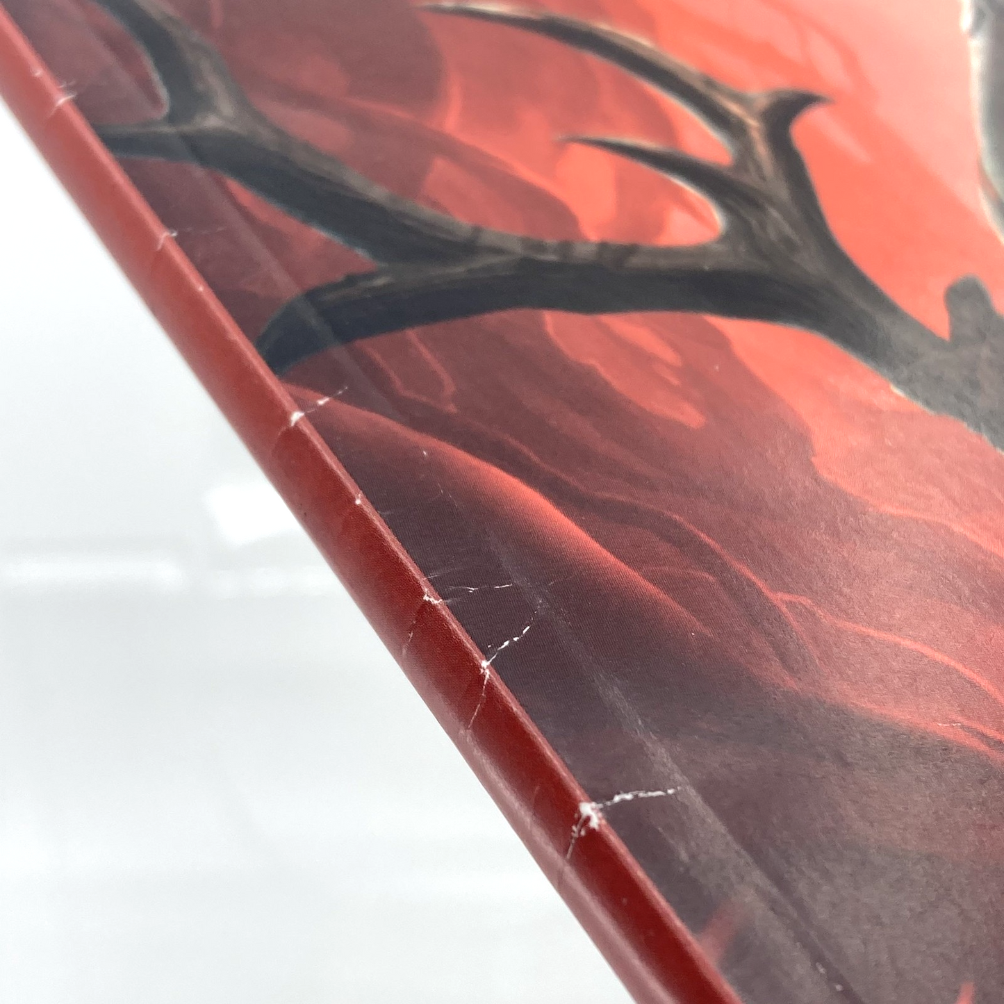 6fae6314-c736-463e-a506-86a8b3ff93f8