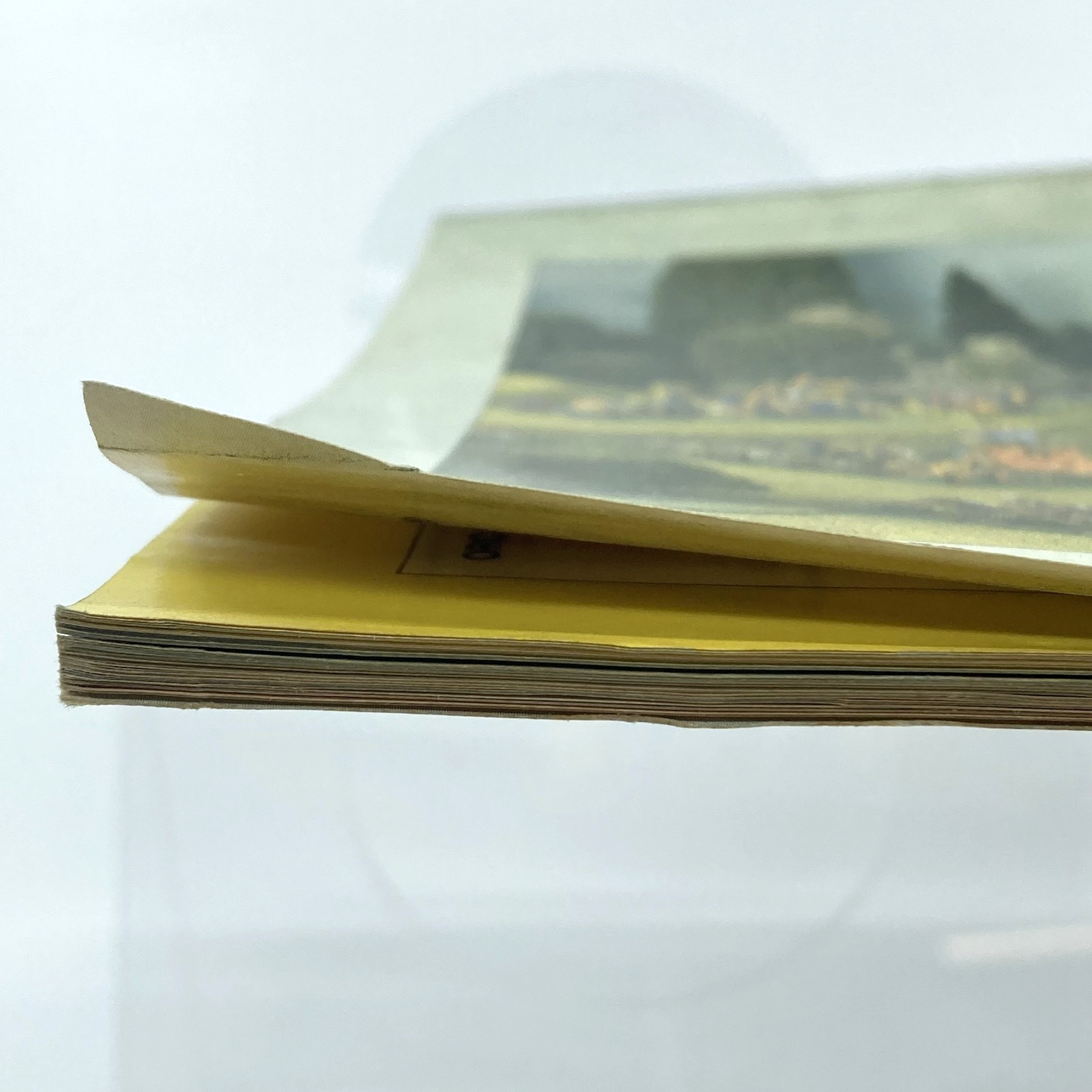 70b6a499-dcd5-437f-ae19-4690b9db959e