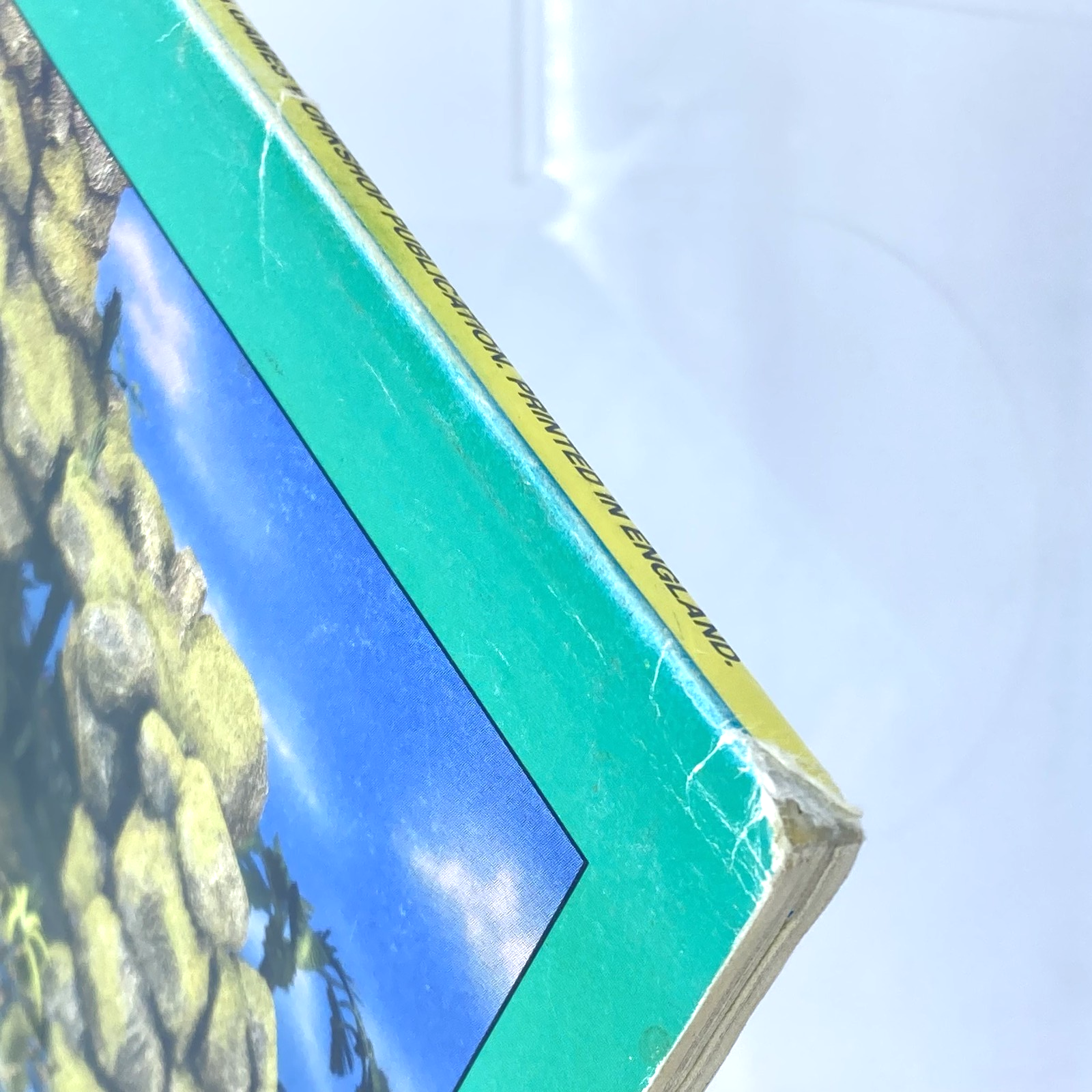 71b2786c-fdf5-4bbe-bf9a-7e7bf5aab0d0