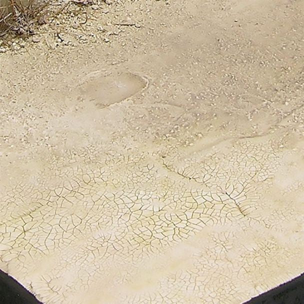 71d6155b-4f83-4cc2-93d1-16f1fa53c461