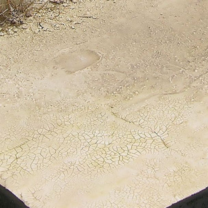 71d6155b-4f83-4cc2-93d1-16f1fa53c461