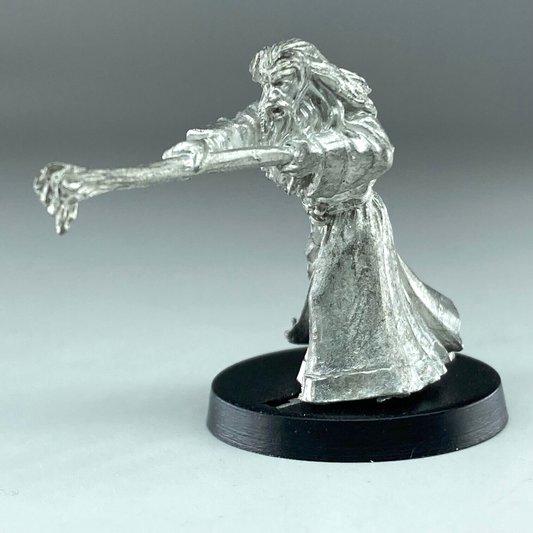 Gandalf The Grey  The Fellowship - Warhammer / Lord of the Rings Metal X921