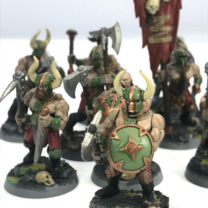 Chaos Marauders Maggotkin Nurgle Chaos - Painted - Warhammer Age of Sigmar C2689