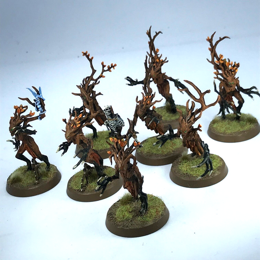 Sylvaneth Dryads Sylvaneth - Painted - Warhammer Age of Sigmar C3848