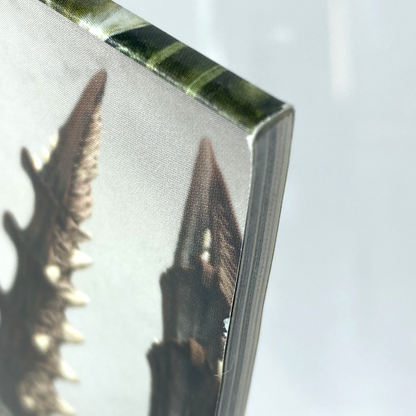 7b031d3e-06ee-4a7f-a90a-14773a4bd0c6