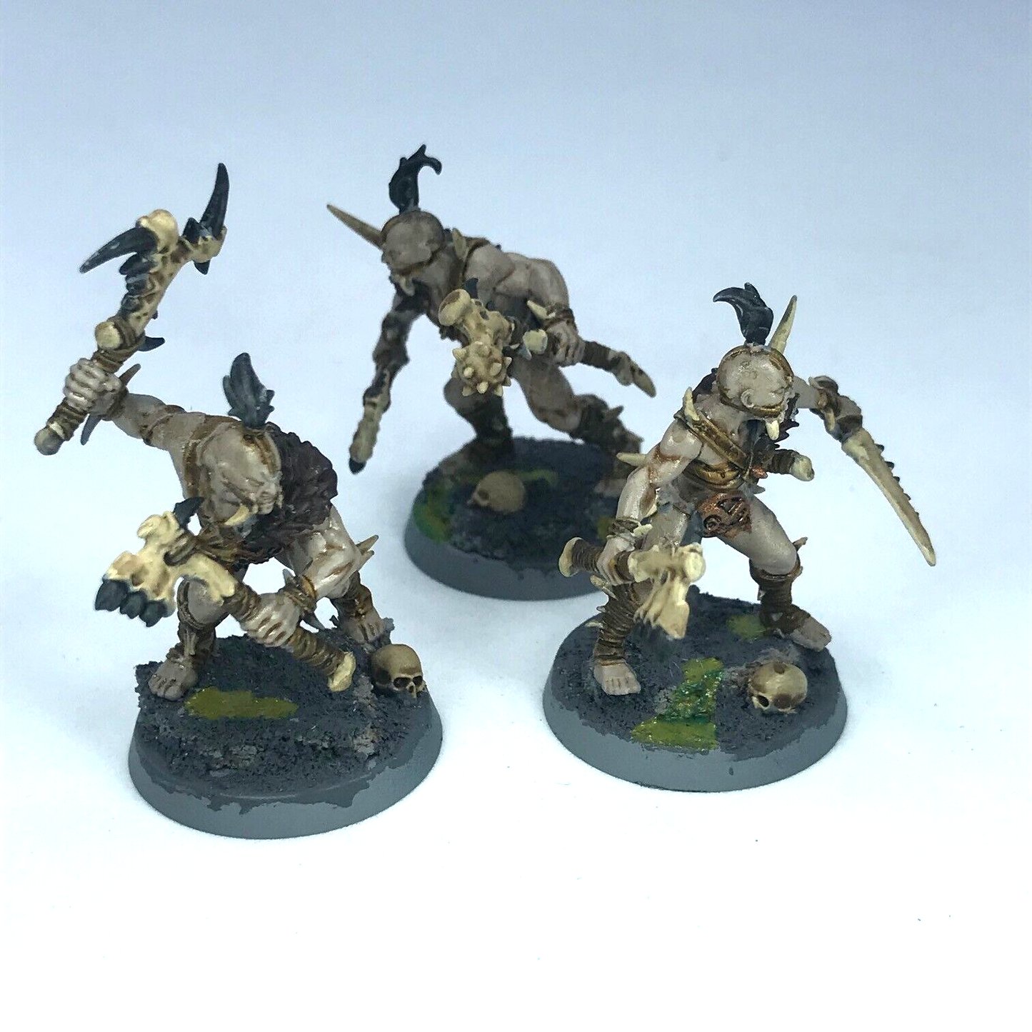 Untamed Beasts - Chaos Slaves to Darkness - Painted - Warcry Warhammer X33