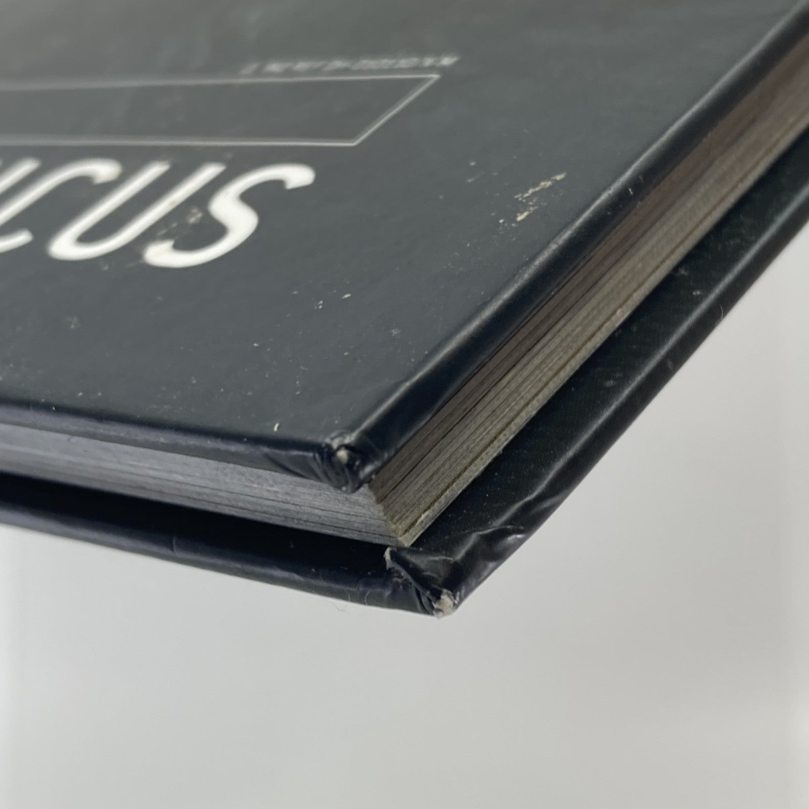 7d6e5a8b-a36a-4307-8277-1ea80d263308