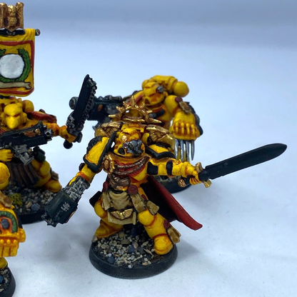 Company HQ Squad Imperial Fist Space Marine - Painted - Warhammer 40K C3123