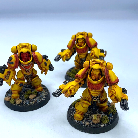 Primaris Aggressors Imperial Fists Space Marine - Painted Warhammer 40K C3121