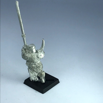 Chaos Marauder Standard Bearer Warriors of Chaos - Warhammer Fantasy X11438