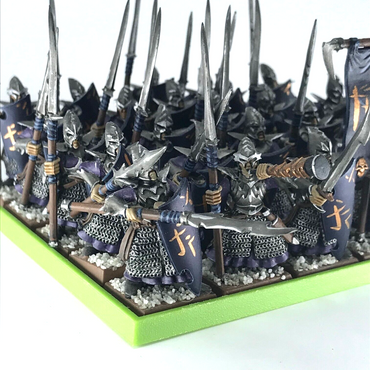 Dark Elves Spearmen Regiment & Movement Tray - Warhammer Fantasy Painted 3