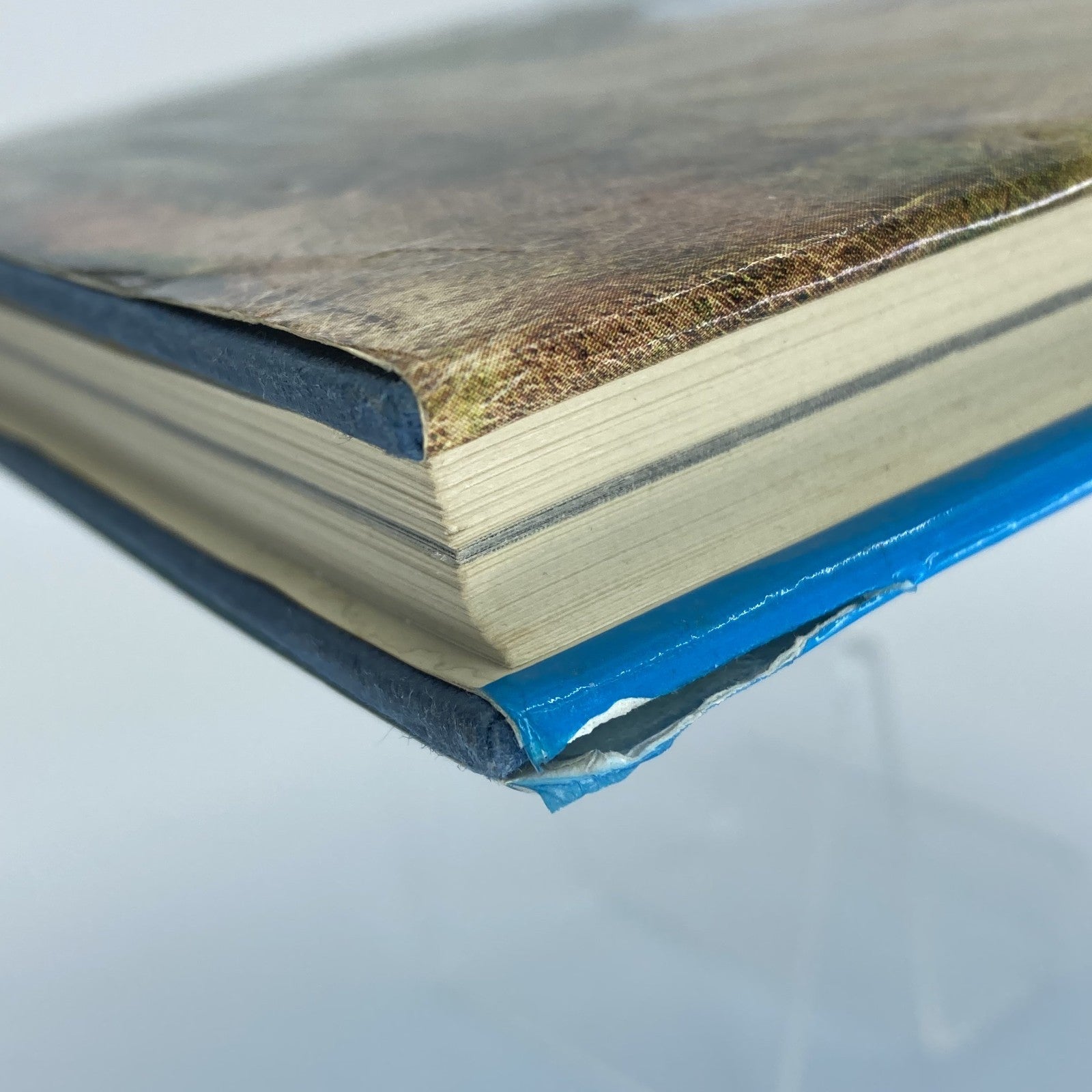 7fab812b-9ef5-493f-8d3c-018d79e087e7