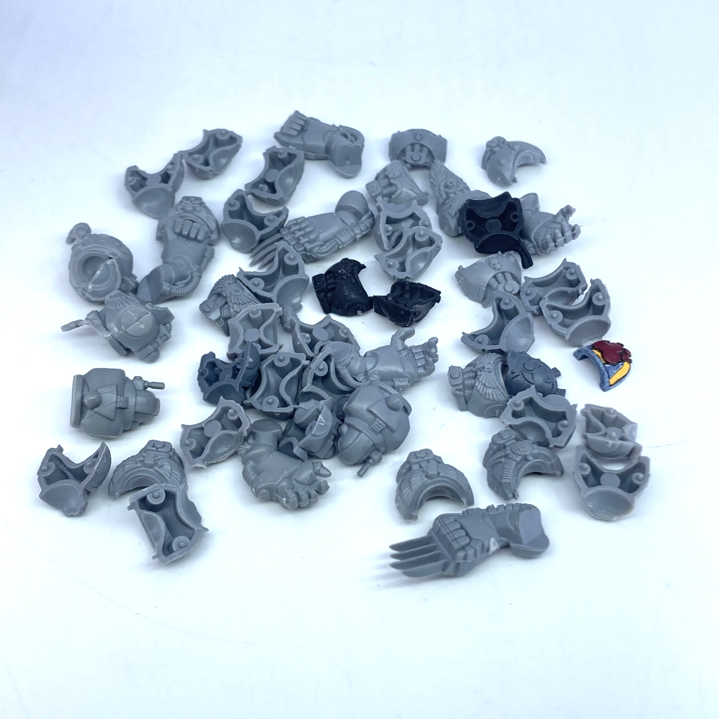 803056dd-507b-4188-a488-fc3c3c76292b