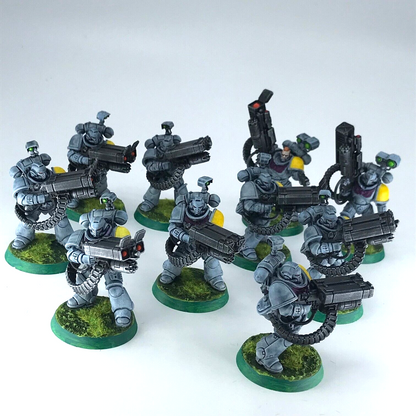 Desolation Squad x2 Space Wolves - Painted - Warhammer 40K Games Workshop C4490