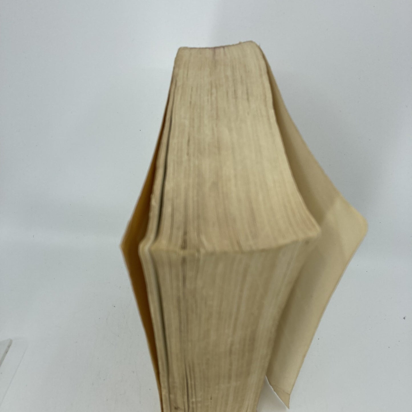 81cb579f-9639-4c69-8c84-e0d7f56fb61f