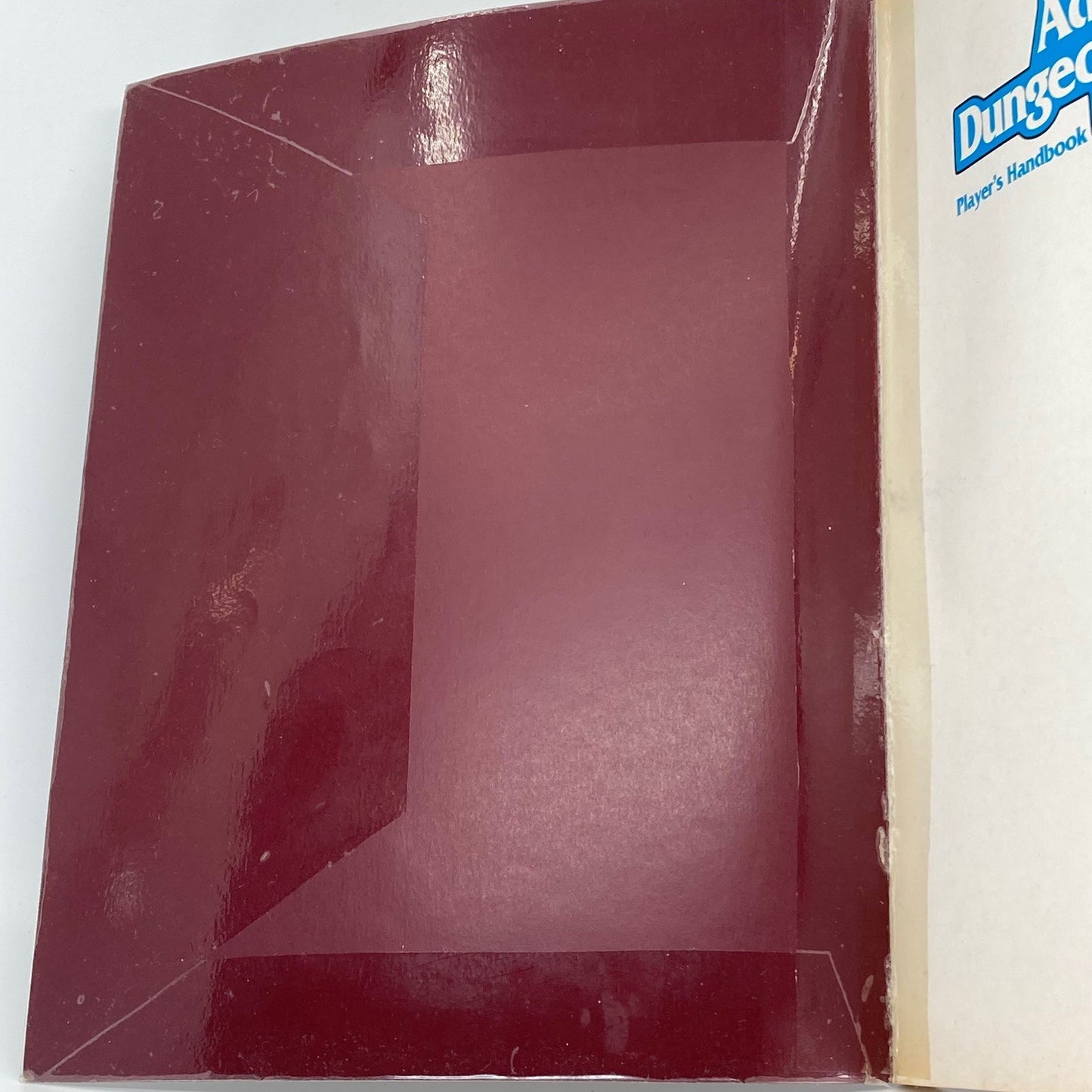 81eeac9c-ee7c-4aea-a971-8c80739cc1b3