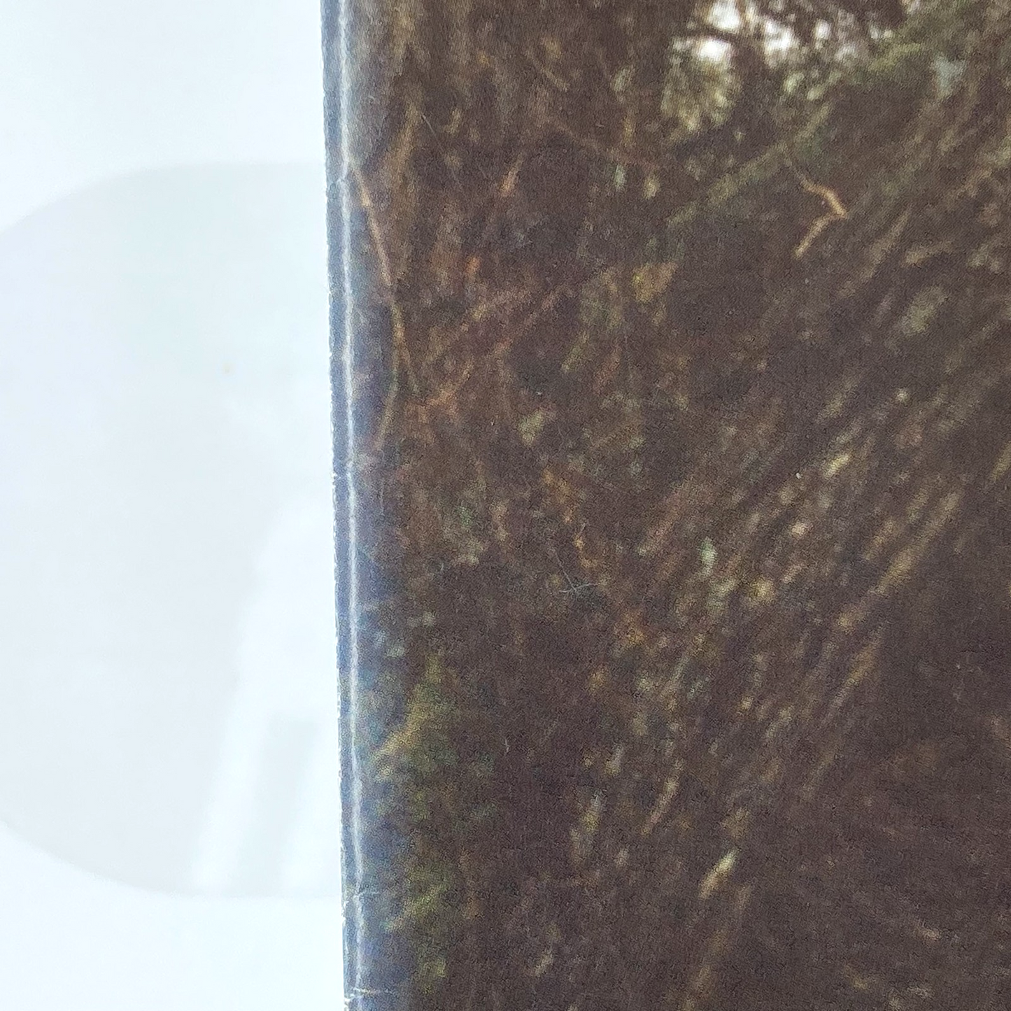 82c564c8-f5de-4177-9855-e9118c201505