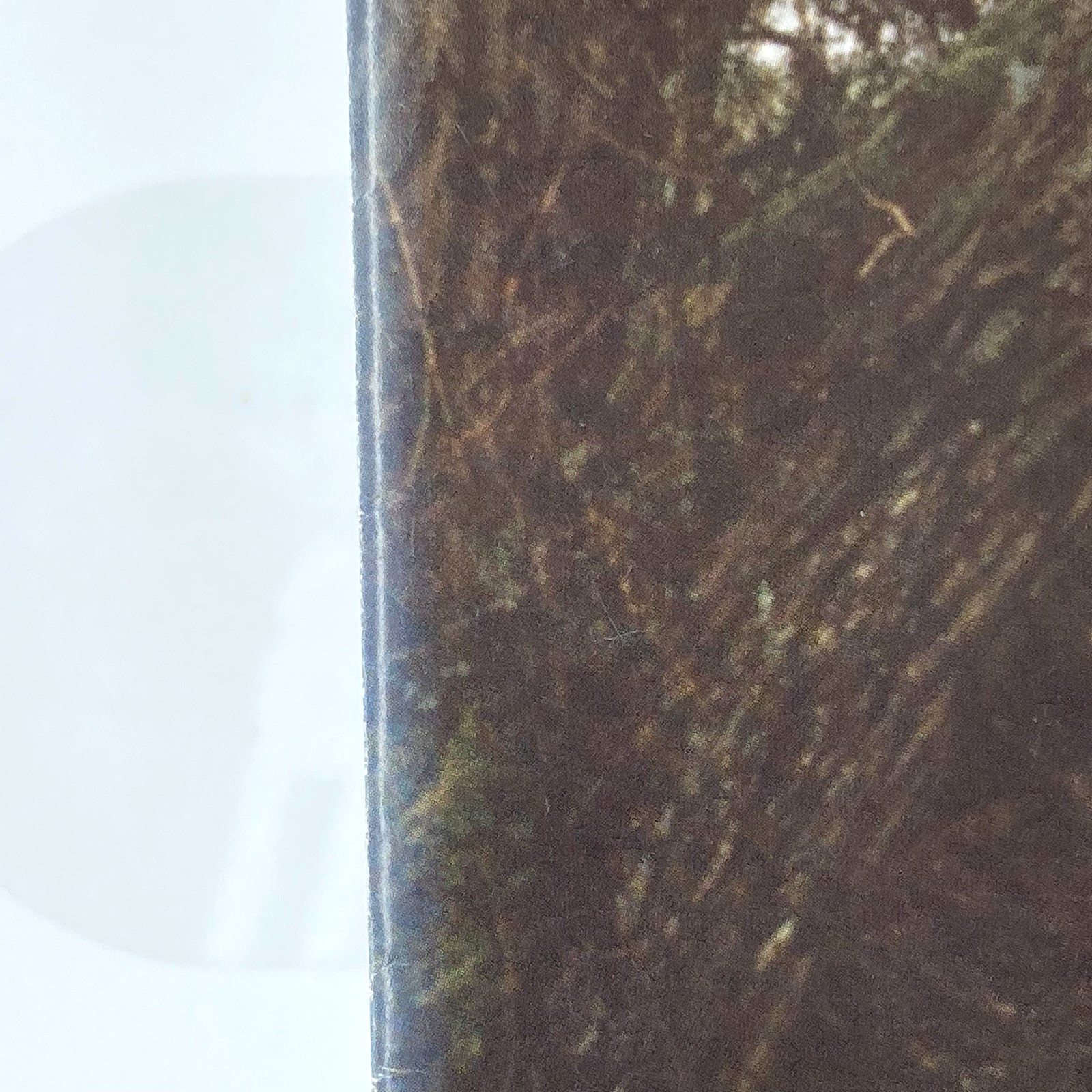 82c564c8-f5de-4177-9855-e9118c201505