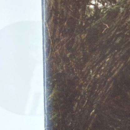 82c564c8-f5de-4177-9855-e9118c201505