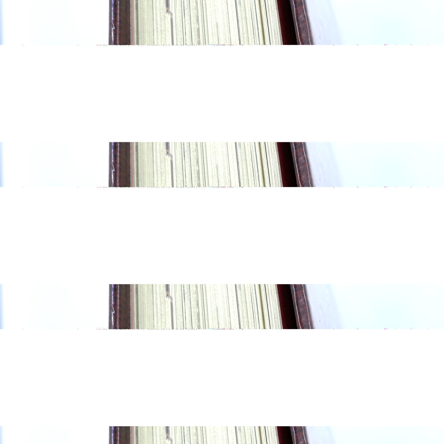 82d554ae-c69d-4d6d-9e11-ddf98307521f