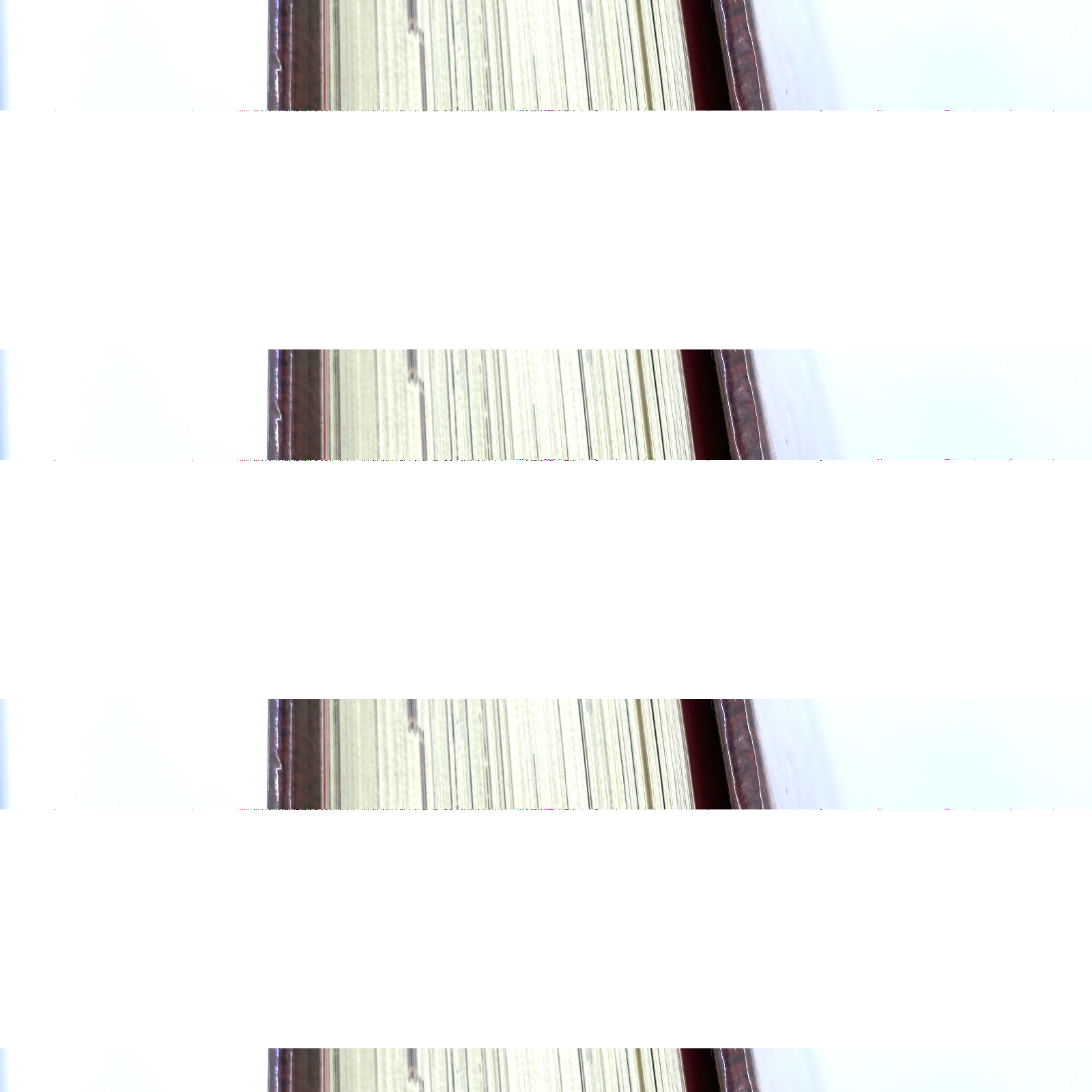 82d554ae-c69d-4d6d-9e11-ddf98307521f