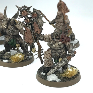 Maggotkin of Nurgle Blightkings Painted - Warhammer Age of Sigmar C2494