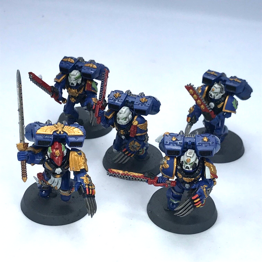 Vanguard Veteran Squad Ultramarines Space Marines - Painted Warhammer 40K C3796