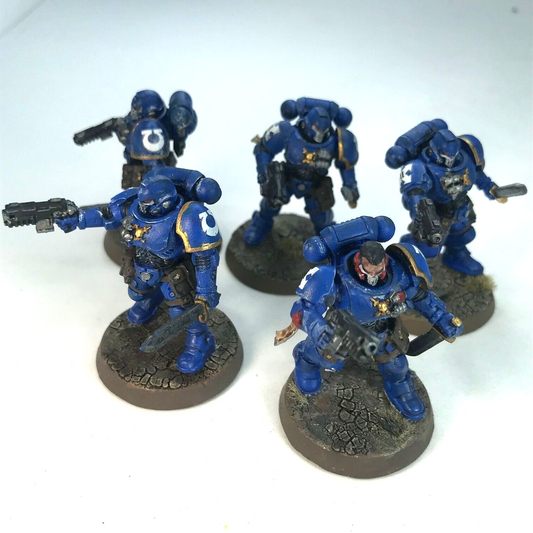 Space Marine Assault Intercessors Squad - Painted - Warhammer 40K C175
